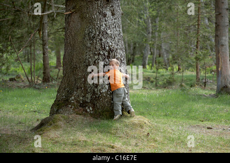 Small boy hugging a tree, Maltatal Valley, Carinthia, Austria, Europe Stock Photo