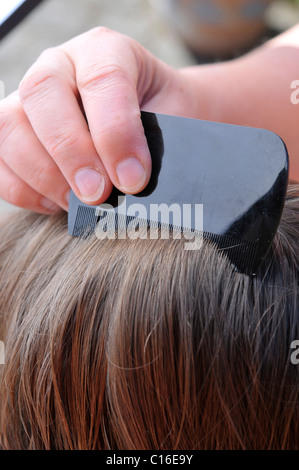 Hair being combed with a small-tooth comb in search of head lice and nits Stock Photo