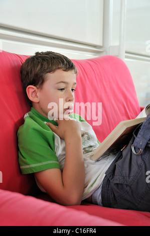 Boy reading a book Stock Photo