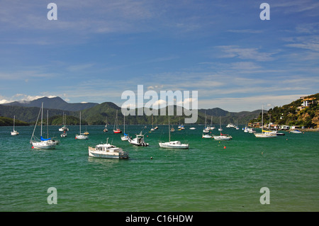 Waikawa Bay, Waikawa, Queen Charlotte Sound, Marlborough Sounds, Marlborough Region, South Island, New Zealand Stock Photo