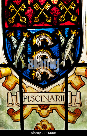 Detail of a stained glass window (marked Piscinarii) with keys and fish at the Oxford Science Museum. Stock Photo