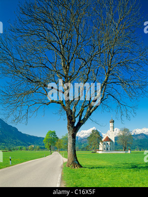 St. Coloman pilgrimage church near Fuessen, Thannheim Range, spring, east Allgaeu, Bavaria, Germany, Europe Stock Photo