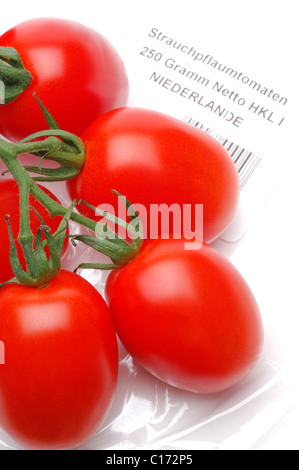 Vine plum tomatoes Stock Photo