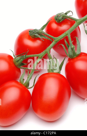 Vine plum tomatoes Stock Photo