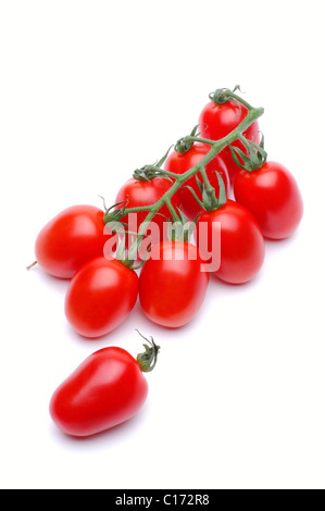 Vine plum tomatoes Stock Photo