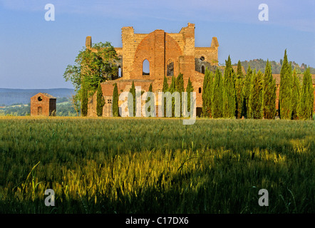 Basilica of the Cistercian Abbey Abbazia di San Galgano ruins by Chisudino, province of Siena, Tuscany, Italy, Europe Stock Photo