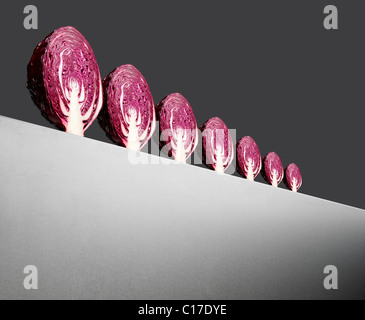 Row of red cabbages on a horizon at an abgle with perspective Stock Photo