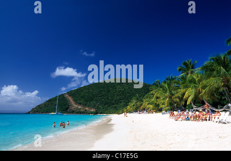 Palm trees on a beach, White Bay, Jost Van Dyke Island, British Virgin Islands, Caribbean Stock Photo
