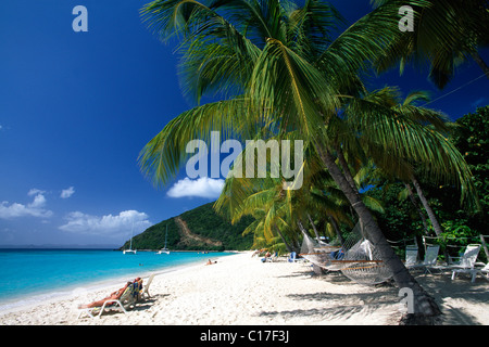 Palm trees on a beach, White Bay, Jost Van Dyke Island, British Virgin Islands, Caribbean Stock Photo