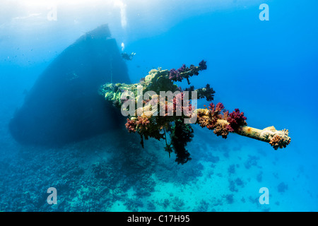 Hard and soft corals encrust the mast on the broken bow of the MV Giannis D shipwreck at Sha'ab Abu Nuhas in the Red Sea. Stock Photo
