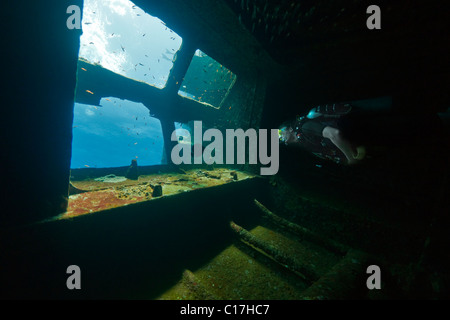 A scuba diver peers out of the engine room roof light of the MV Giannis D shipwreck at Sha'ab Abu Nuhas in the Red Sea. Stock Photo