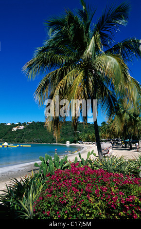 The Westin Resort, St. John Island, United States Virgin Islands, Caribbean Stock Photo