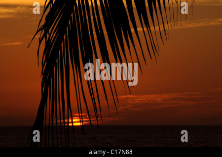 Sunset on the Gulf of Mexico (Marco Island, FL) Stock Photo