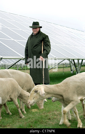 A shepherd with his Merino Sheep under the solar panels in a Solar Power Plant in Pocking, Bavaria, Germany, Europe Stock Photo