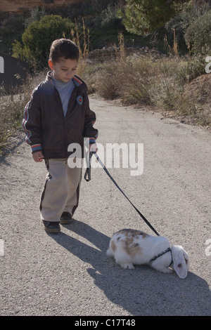 little boy walking pet rabbit on lead Stock Photo - Alamy