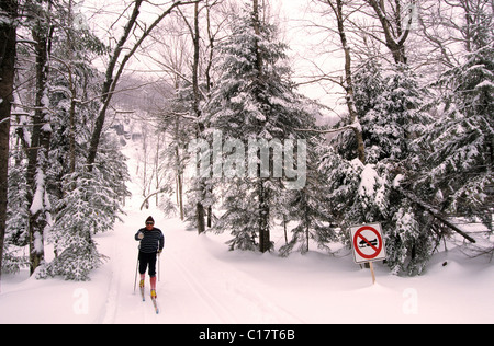 Canada, Quebec Province, Quebec at the time of the carnival, cross-country skier in the area of Quebec city Stock Photo