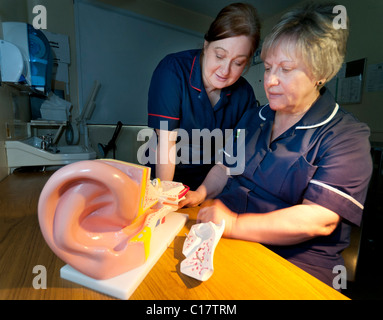 Nurses examine a model of the ear which is used for explaining the workings of the ear Stock Photo