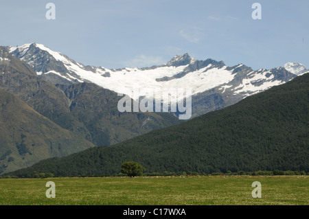 View of Rob Roy Glacier from the Matukituki Valley, Wanaka, Otago region, South Island, New Zealand Stock Photo