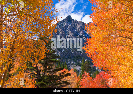 Fall color along Bishop Creek, Inyo National Forest, Sierra Nevada Mountains, California USA Stock Photo