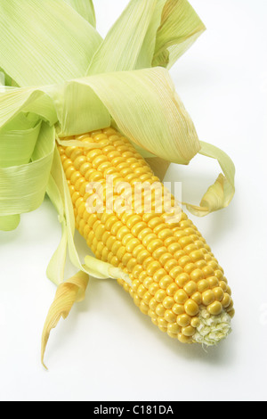Corn Cob Stock Photo