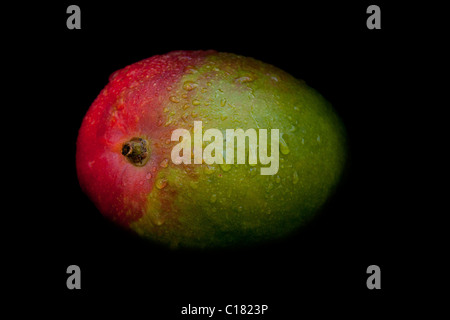 wet mango isolated on black Stock Photo