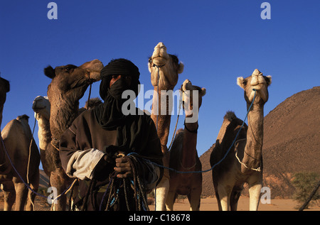 Niger, Sahara, Tenere desert, tuareg camel driver in the sand dunes of Arakao (Crab Claw) Stock Photo