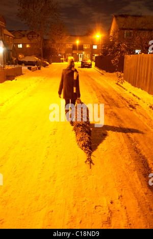 Woman dragging home Christmas tree Stock Photo