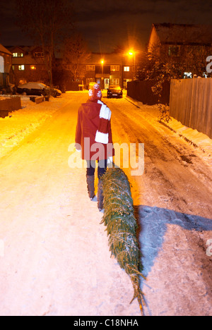 Woman dragging Christmas tree at night Stock Photo
