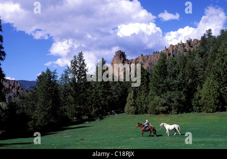 United States, Wyoming, Cody, dude ranch, Uxu Ranch, horse training Stock Photo