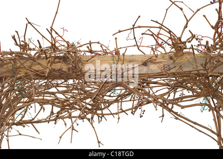 Autumn Climbing Vines on a Wooden Fence Stock Photo