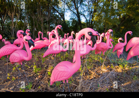 Flock of very pink plastic flamingos in the forest. Stock Photo