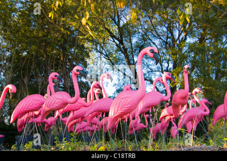 Flock of very pink plastic flamingos in the forest. Stock Photo