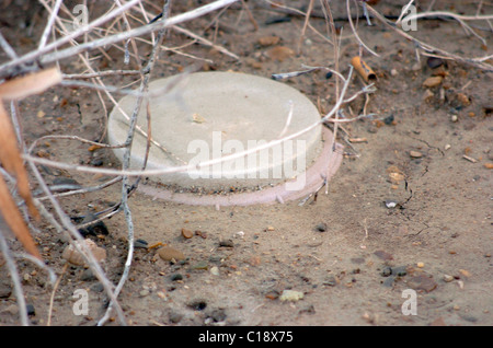 A land mine is a target (person or vehicle) triggered explosive weapon Stock Photo