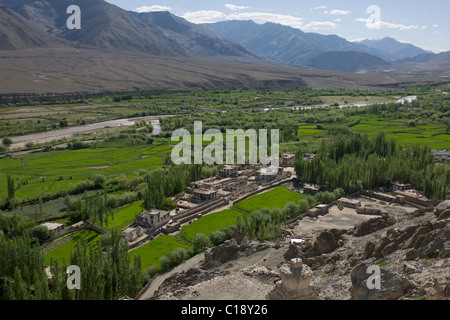 Fertile valley, seen from Spituk Gompa, near Leh, (Ladakh) Jammu & Kashmir, India Stock Photo