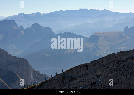 Hikers ascending towards the summit of Saentis Mountain in front of Churfirsten mountains and the Glarus Alps, Switzerland Stock Photo