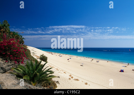 Jandia Playa Beach, Morro Jable, Fuerteventura, Canary Islands, Spain, Europe Stock Photo