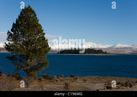 View of Motuariki Island, Lake Tekapo, Canterbury, South Island, New Zealand Stock Photo