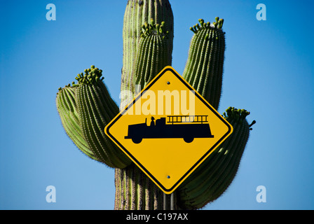 Road sign signifying fire station, standing in front of Saguaro Cactus, Green Valley, Arizona, USA Stock Photo