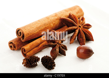 Cinnamon sticks and anise stars Stock Photo