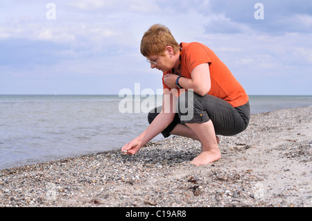 Woman finding a fossil of a Belemnite on a Baltic Sea beach in Maasholm, Schleswig-Holstein, Germany, Europe Stock Photo