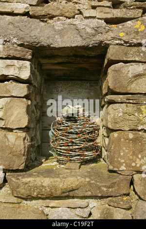Coil of rusty barbed wire in old stone building. Stock Photo
