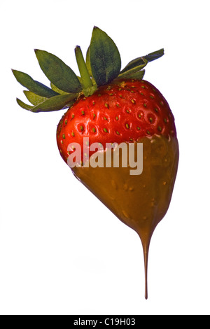 Strawberry dipped in chocolate on white background Stock Photo