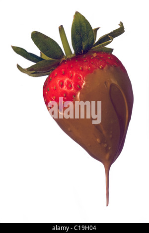 Strawberry dipped in chocolate on white background Stock Photo