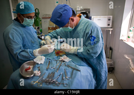 A veterinarian surgeon operates a dog at the operating room of a Pet Hospital in Condesa, Mexico City, Mexico, January 26, 2011. Stock Photo
