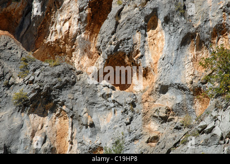 neolithic rock art , Pla de Petracos, near Castell de Castells, Marina Alta, Alicante province, Valencia, Spain Stock Photo
