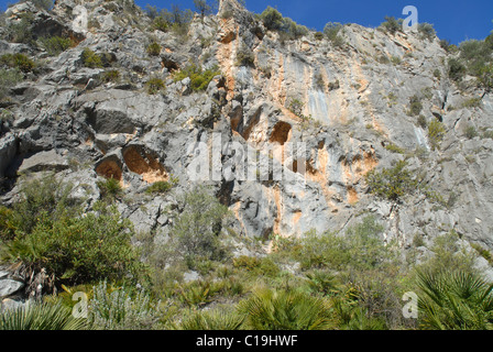 neolithic rock art, Pla de Petracos, near Castell de Castells, Marina Alta, Alicante province, Valencia, Spain Stock Photo
