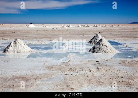 Salt being collected on the Bolivian salt flats at “Salar de Uyuni”, Bolivia, “South America” Stock Photo