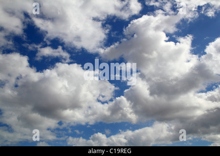 Perfect blue sky with fluffy white clouds in diagonally formation. The ...