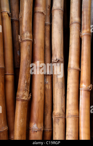 dried bamboo cane pattern trunk texture Stock Photo