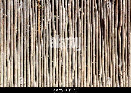 stick white wood trunk fence in tropical Mayan wall Stock Photo
